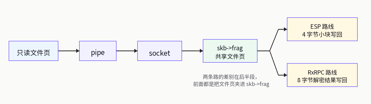 Dirty Frag ESP and RxRPC routes